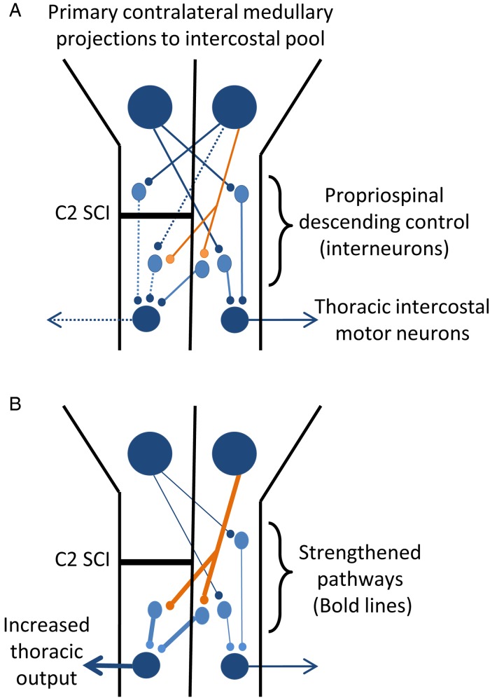 Figure 5 