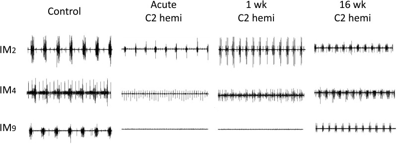 Figure 4 