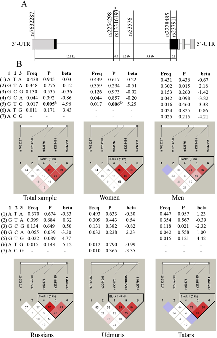 Figure 1