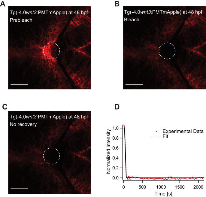 Figure 5—figure supplement 4.