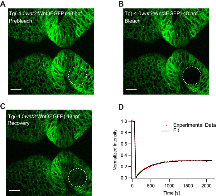 Figure 5—figure supplement 1.