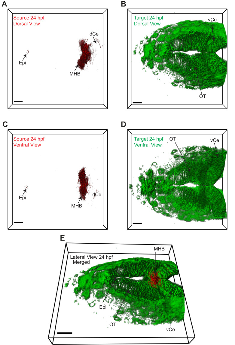 Figure 2.