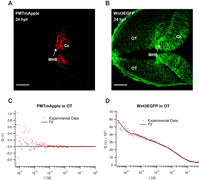 Figure 2—figure supplement 1.