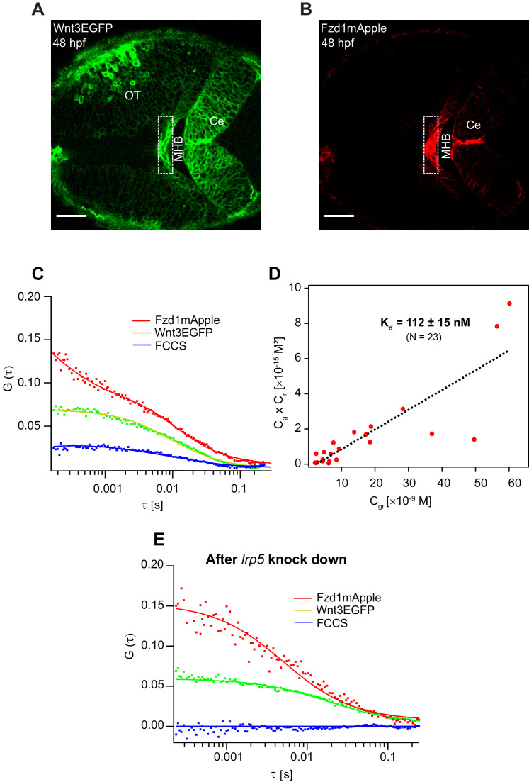 Figure 6.