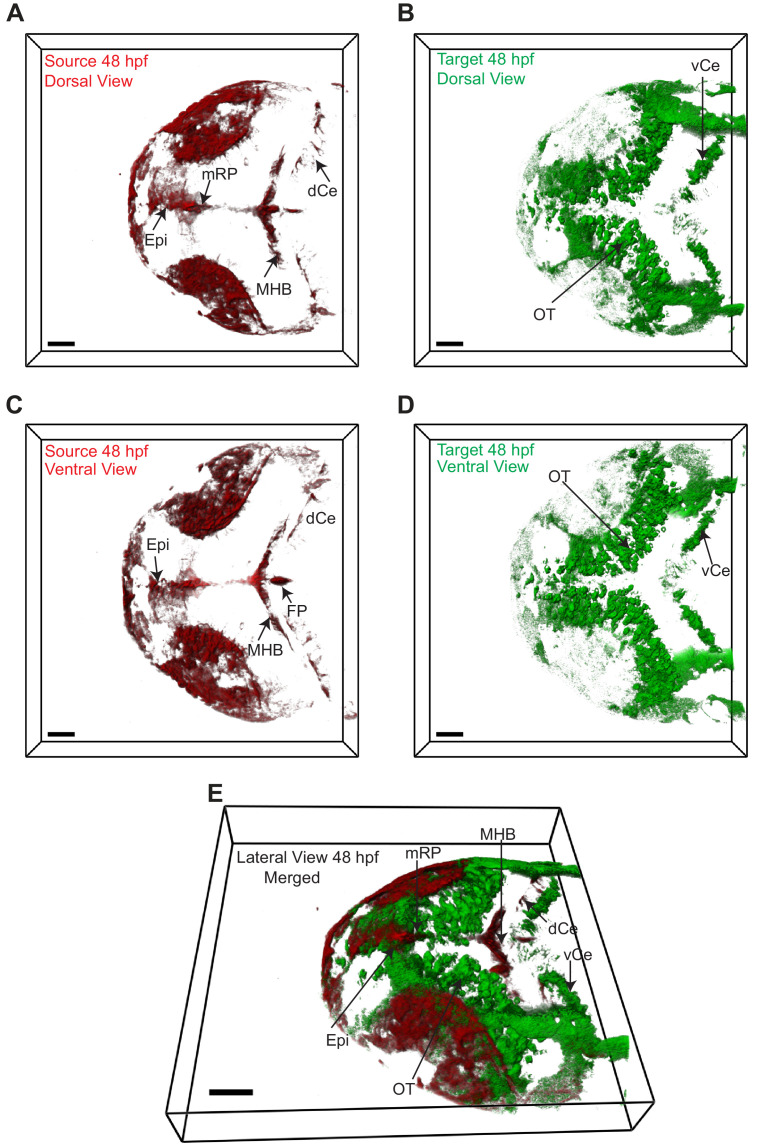 Figure 3.