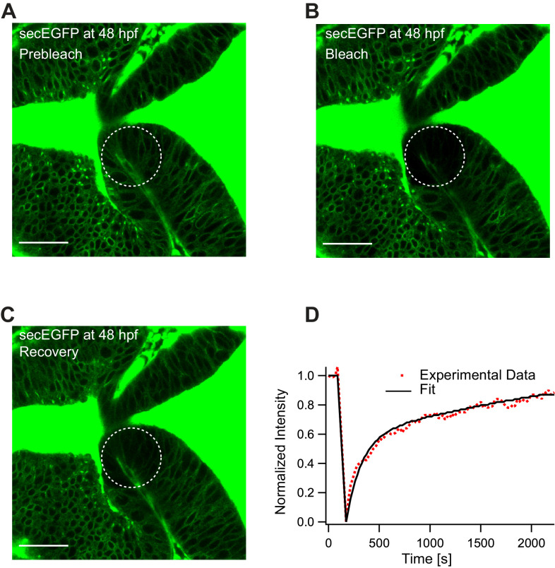 Figure 5—figure supplement 3.