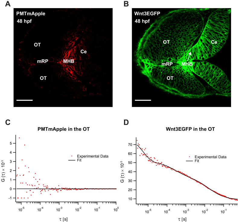 Figure 3—figure supplement 1.