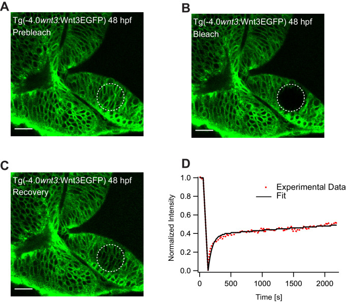 Figure 5—figure supplement 2.