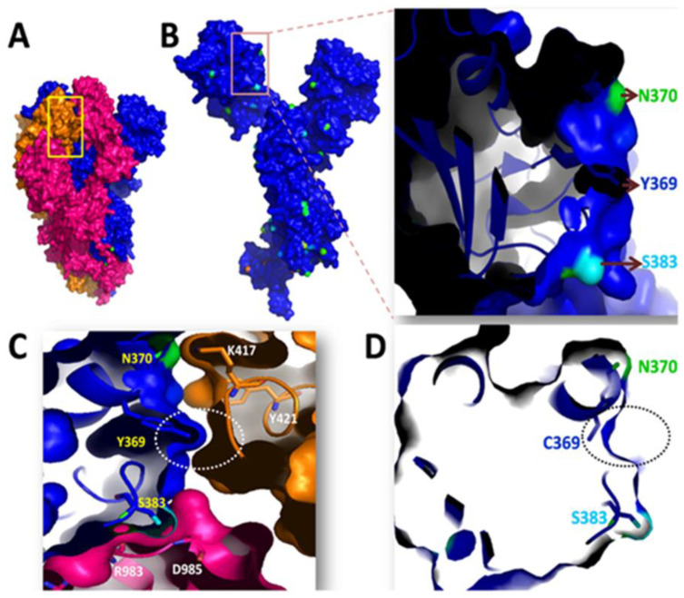 Figure 11