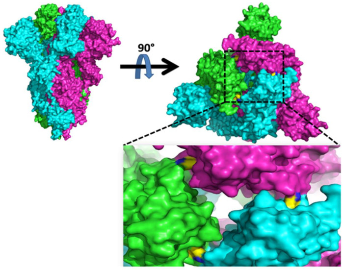 Figure 7