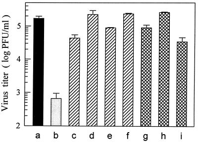 FIG. 6