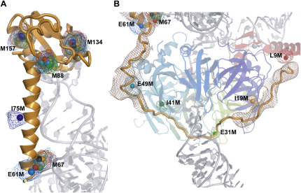 Figure 2