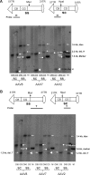 FIG. 3.