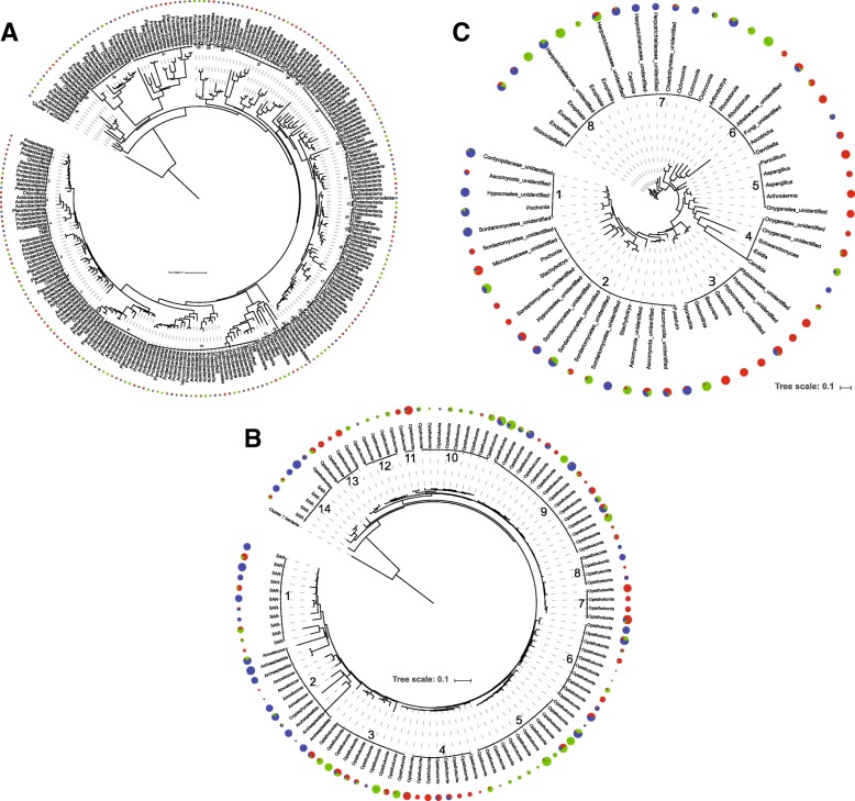 Fig. 6