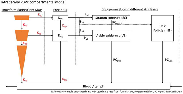 graphic file with name nihms-1542887-f0007.jpg