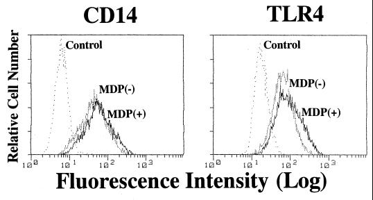 FIG. 10