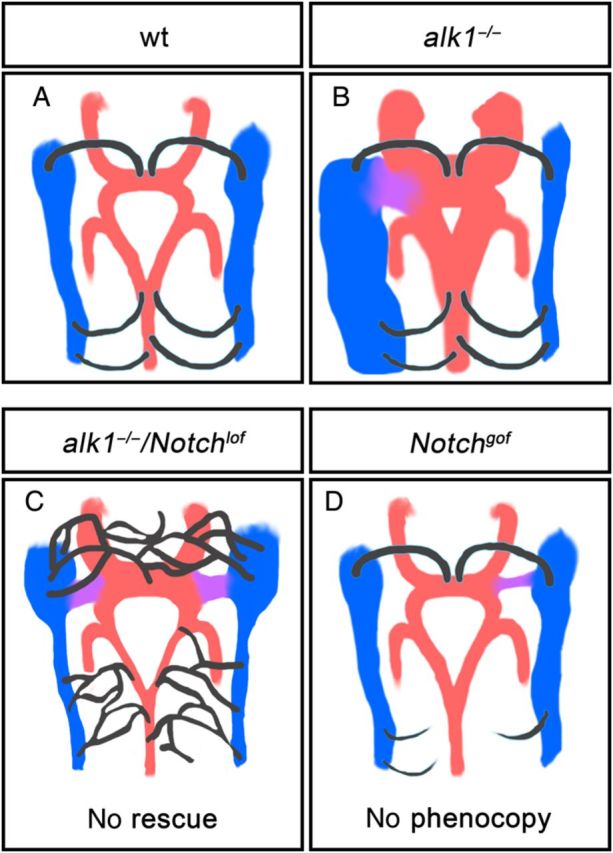 Figure 6