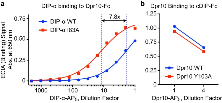 Figure 6—figure supplement 2.