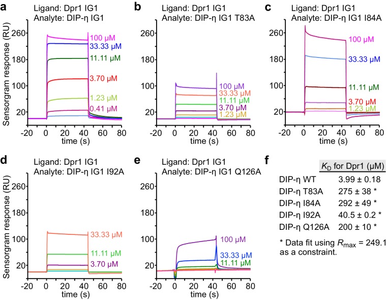 Figure 4—figure supplement 3.