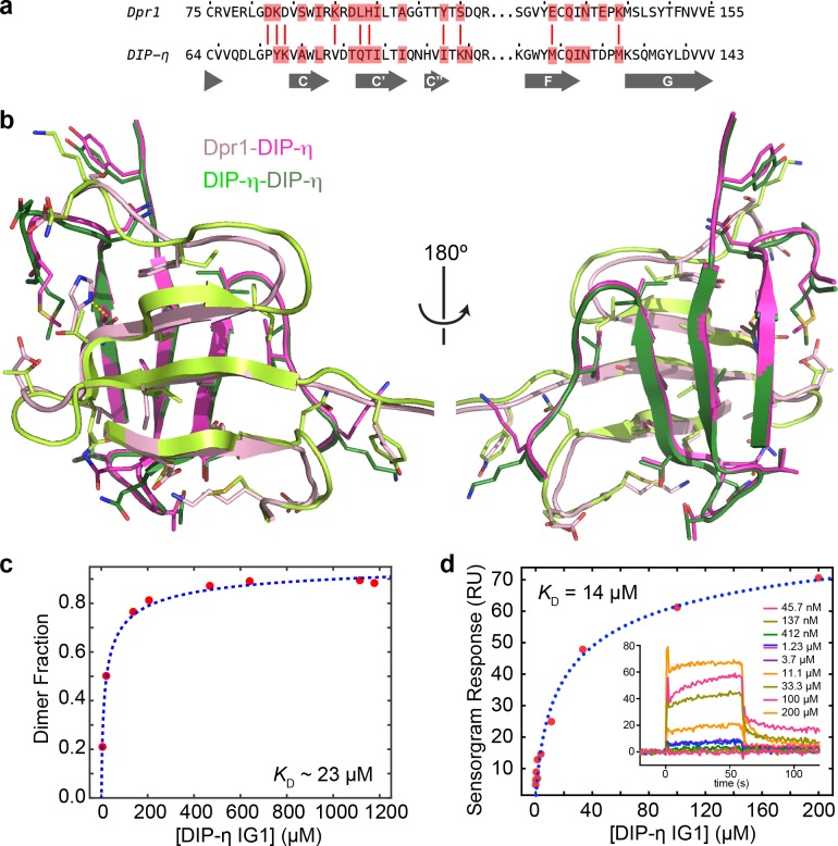 Figure 5—figure supplement 1.