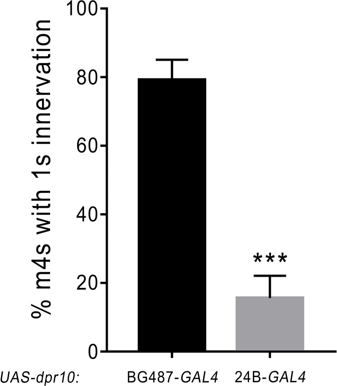 Figure 8—figure supplement 1.