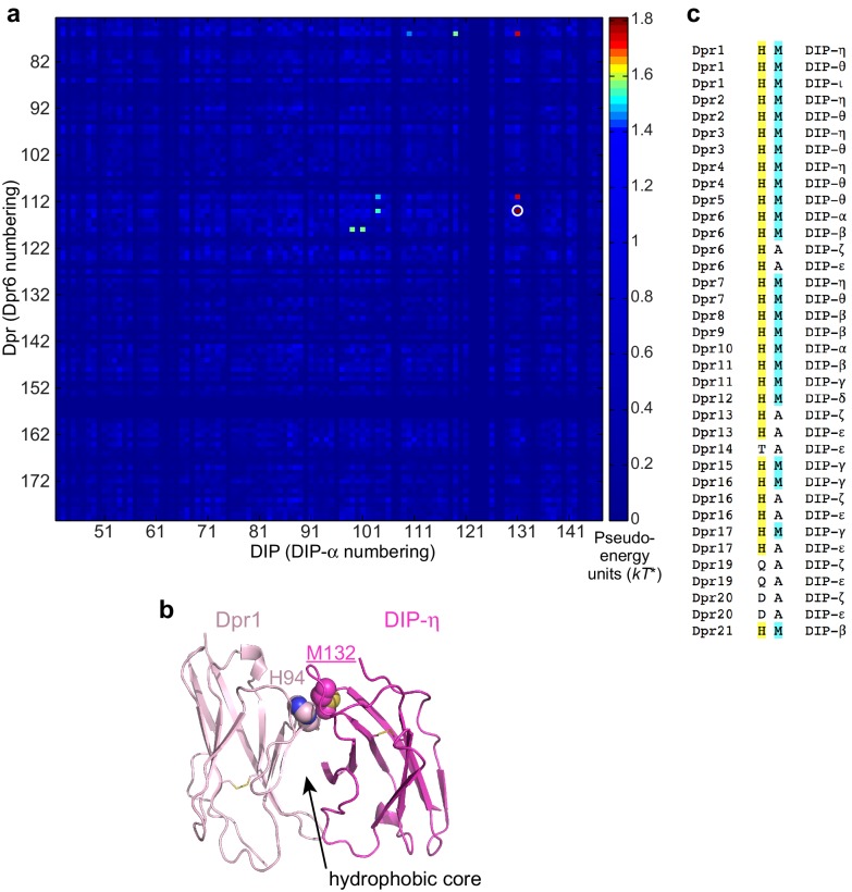 Figure 1—figure supplement 1.