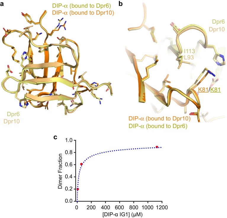 Figure 6—figure supplement 1.