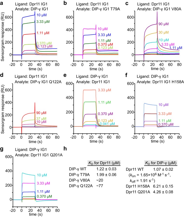 Figure 4—figure supplement 4.