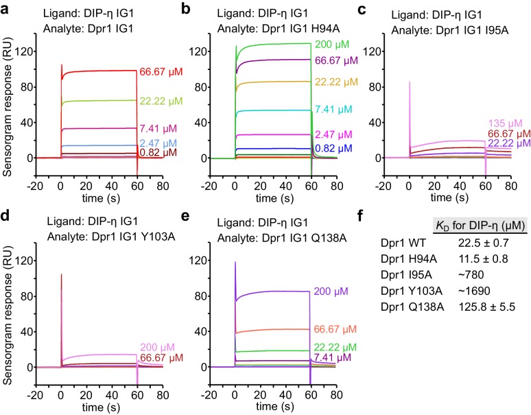 Figure 4—figure supplement 1.