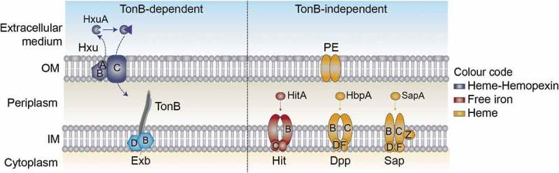 Figure 1.