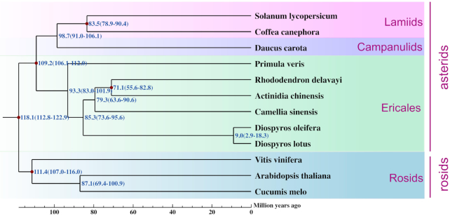 Figure 4: