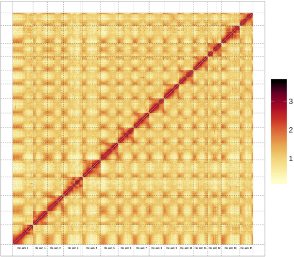 Figure 2: