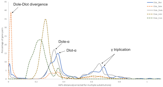 Figure 5: