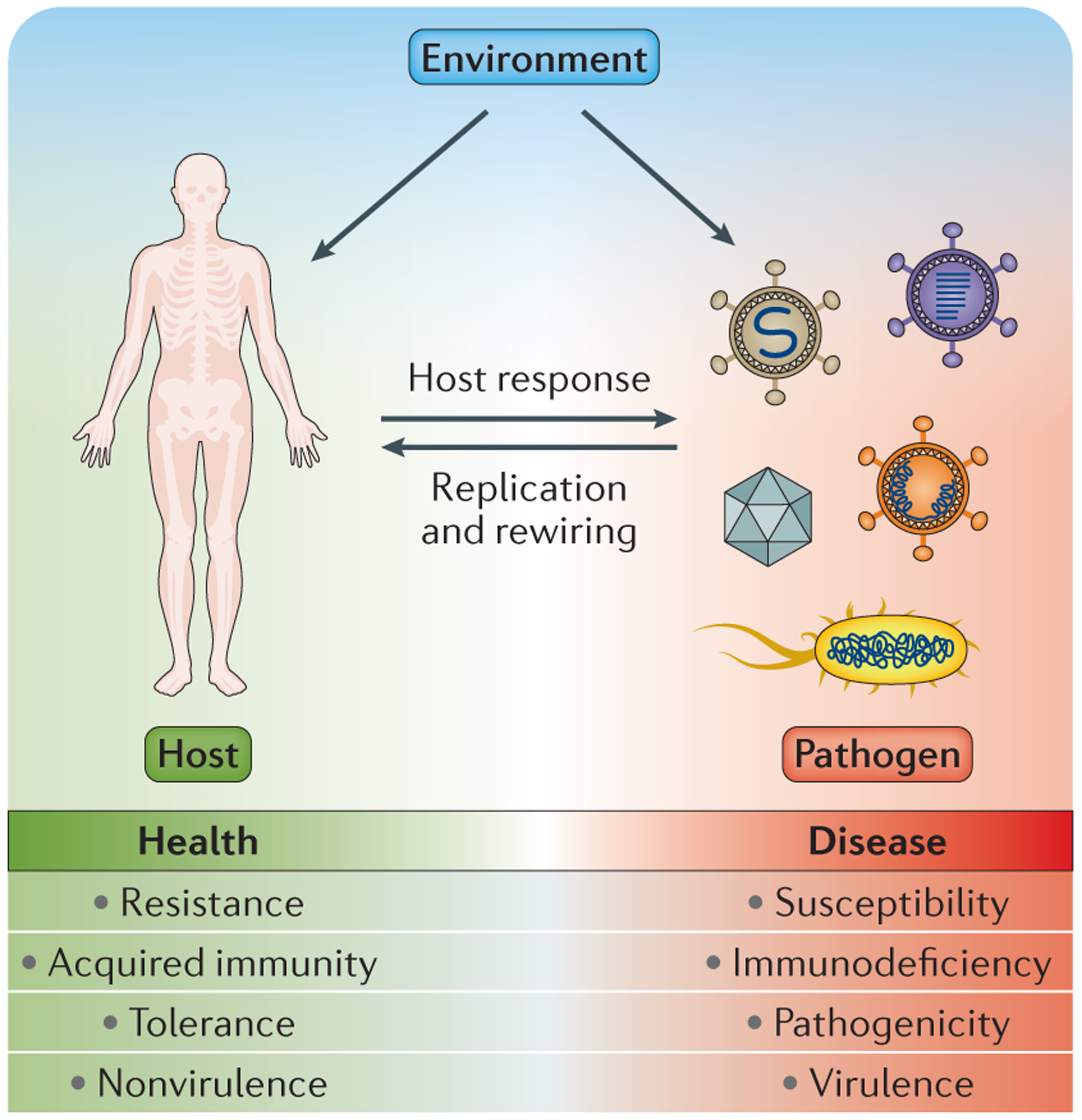 Figure 1 |