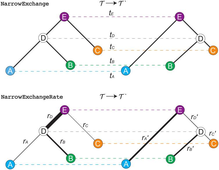 Fig 5