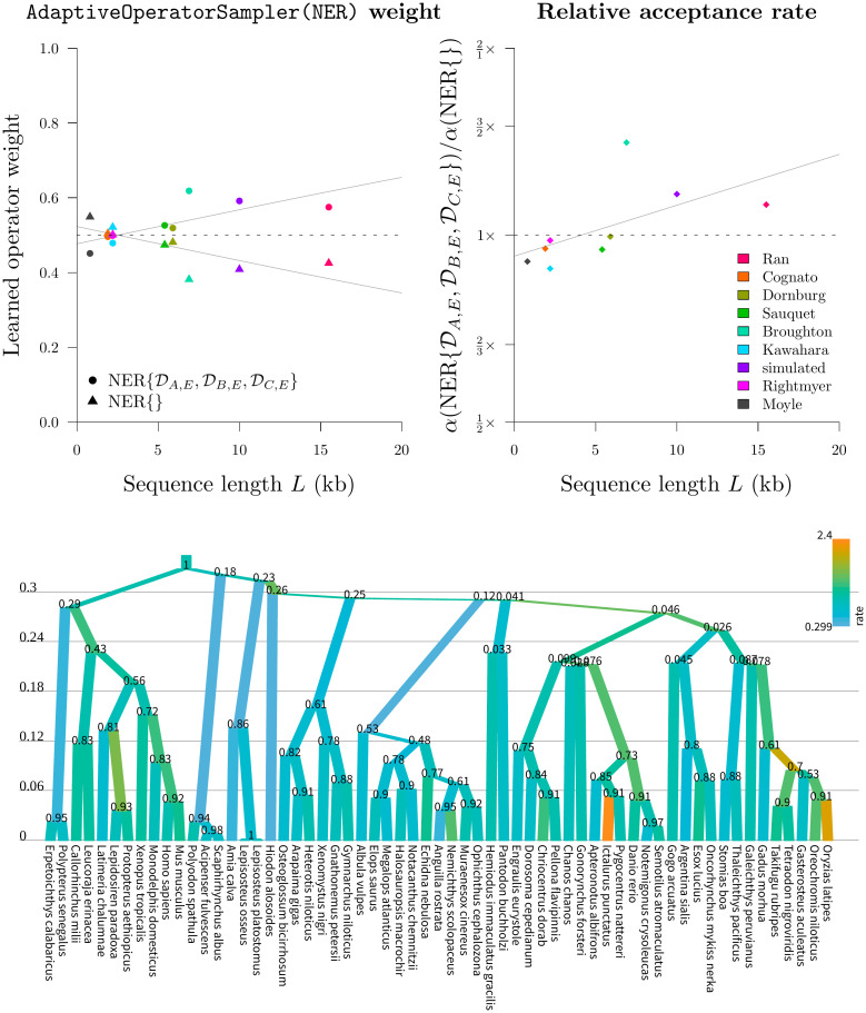 Fig 12