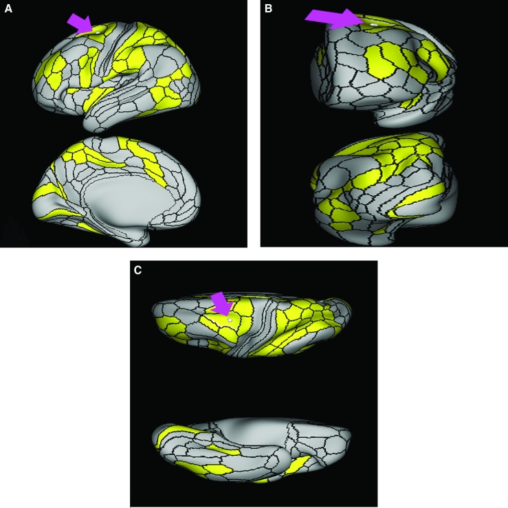 FIGURE 32.