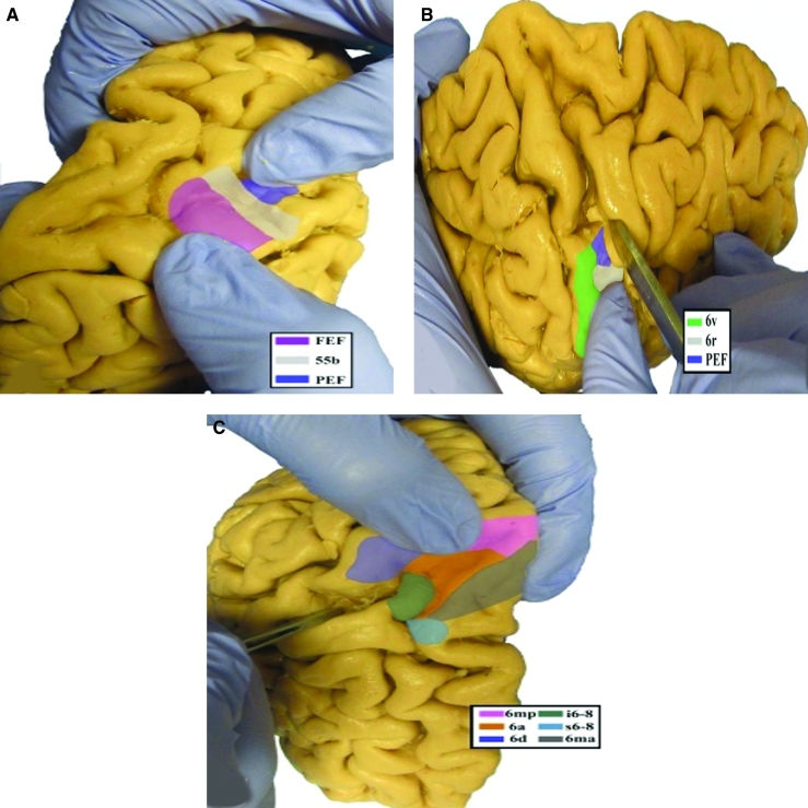 FIGURE 30.