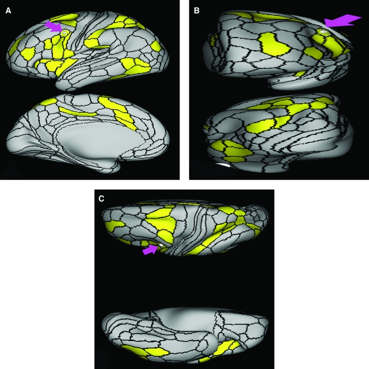 FIGURE 40.