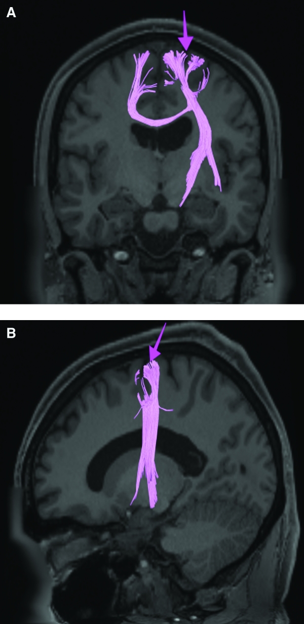 FIGURE 27.