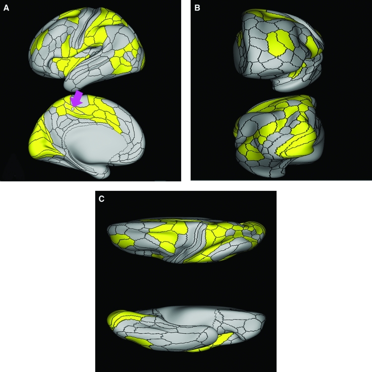 FIGURE 20.