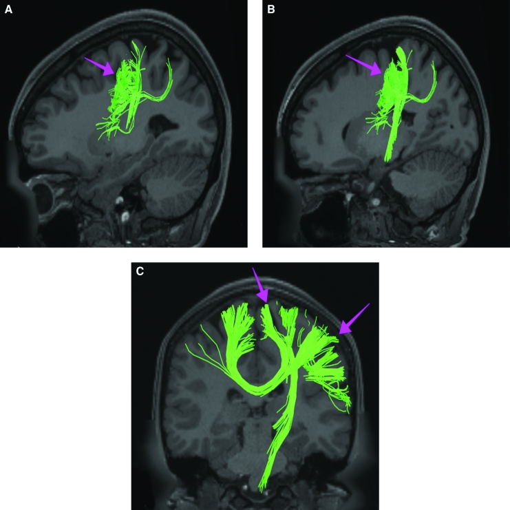 FIGURE 3.