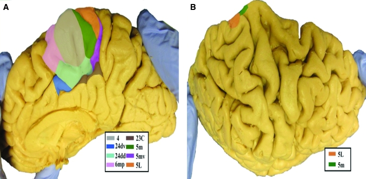 FIGURE 14.