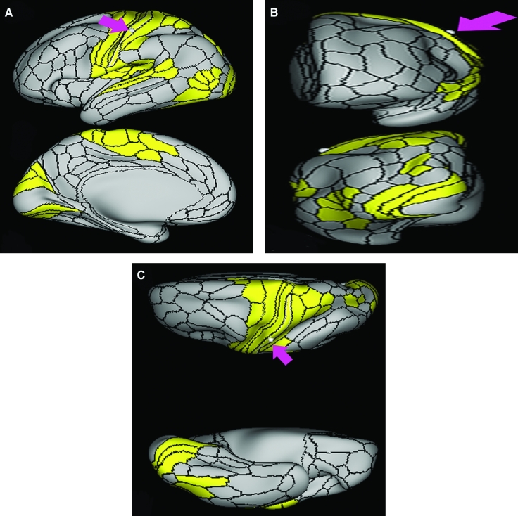 FIGURE 10.