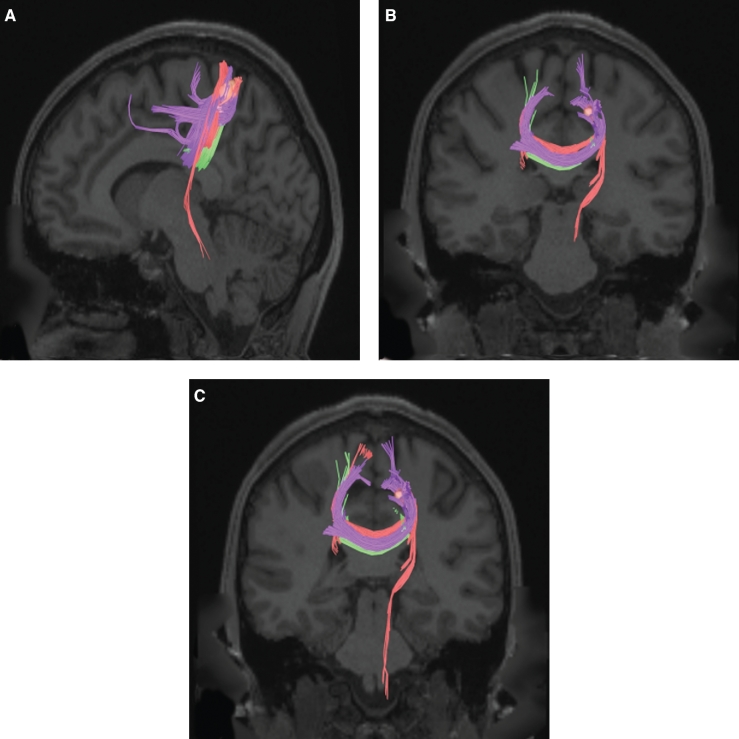 FIGURE 15.