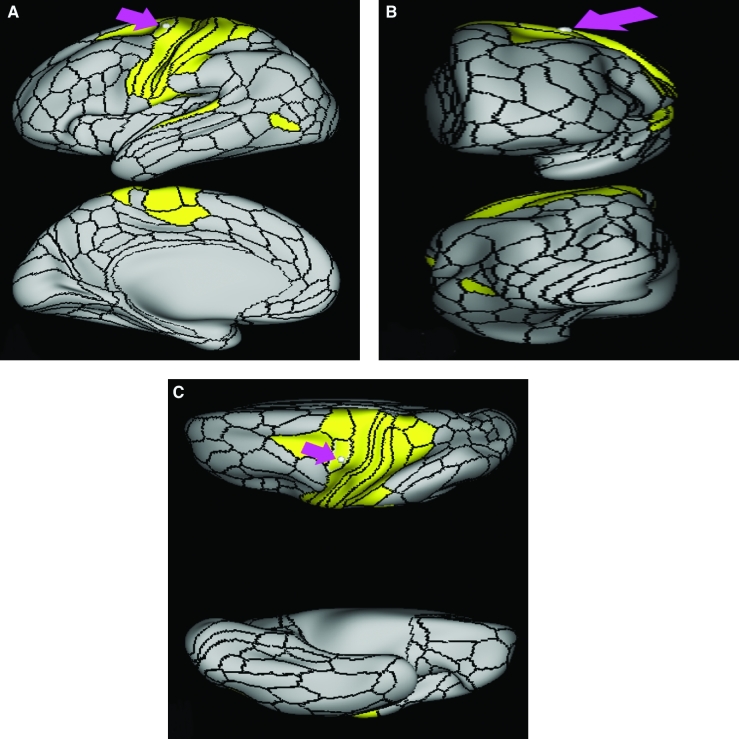 FIGURE 34.