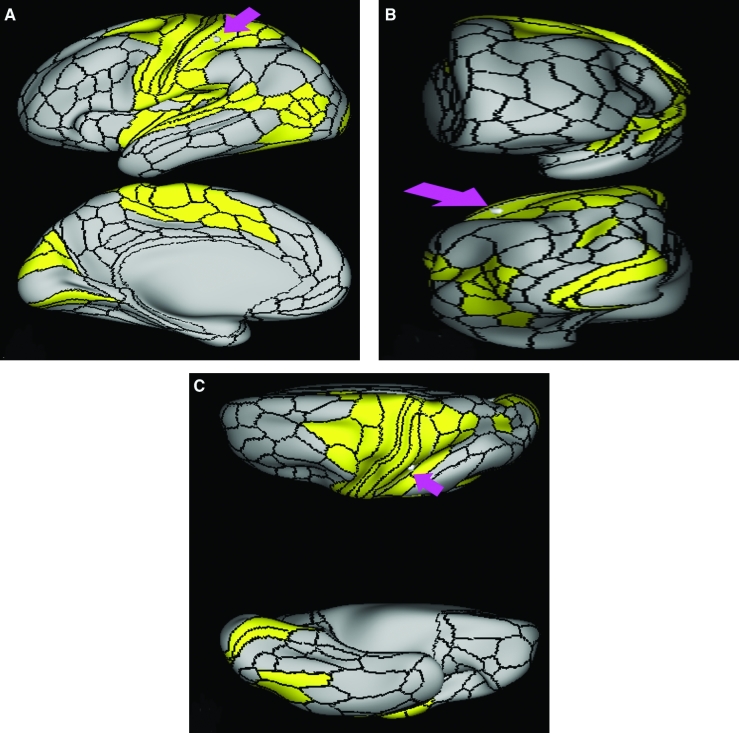 FIGURE 12.