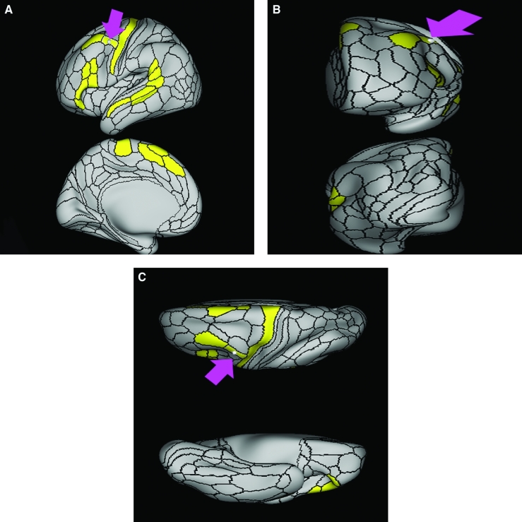 FIGURE 38.