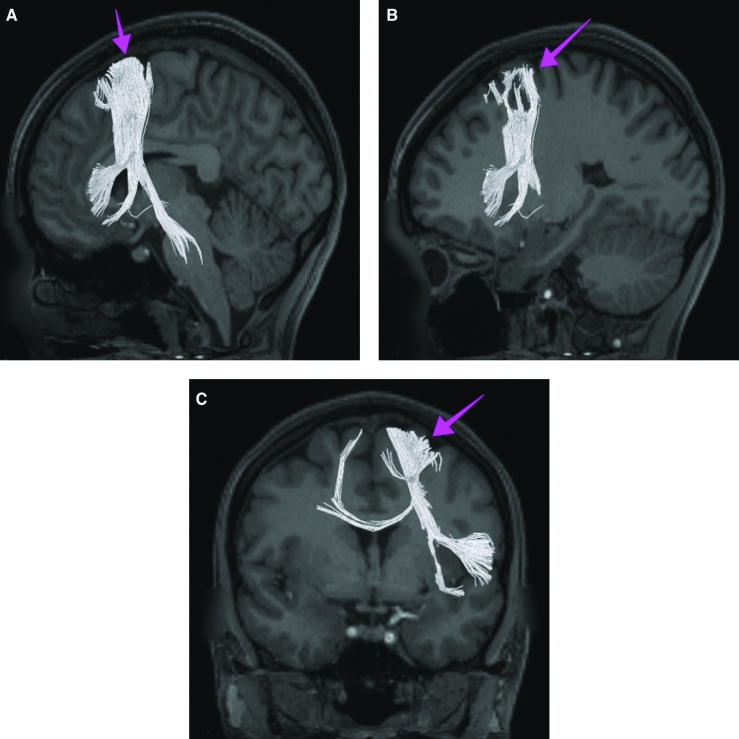 FIGURE 25.