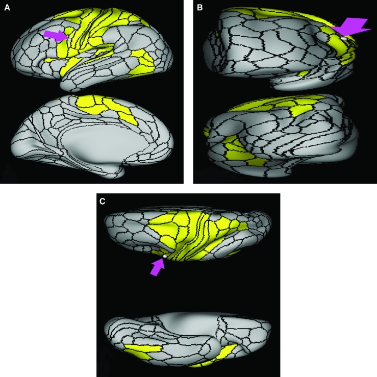 FIGURE 42.